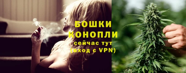 ГАЛЛЮЦИНОГЕННЫЕ ГРИБЫ Богородск