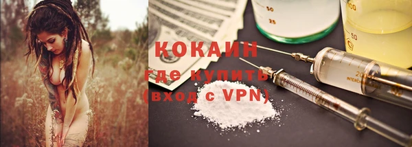 дмт Богданович