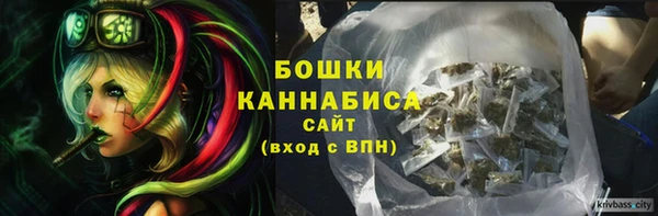дмт Богданович