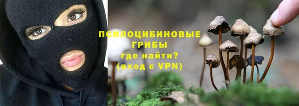 амфетамин Богородицк