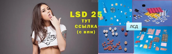 дмт Богданович