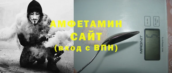 дмт Богданович