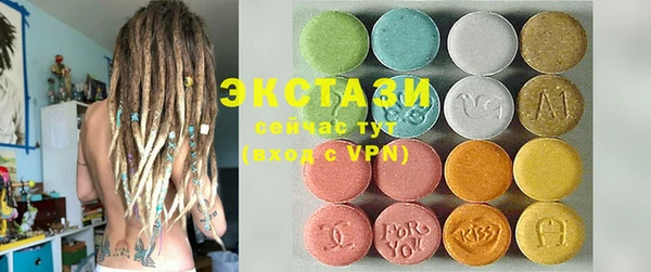 дмт Богданович