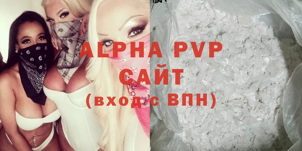 дмт Богданович