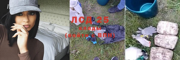 дмт Богданович