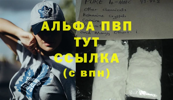 дмт Богданович