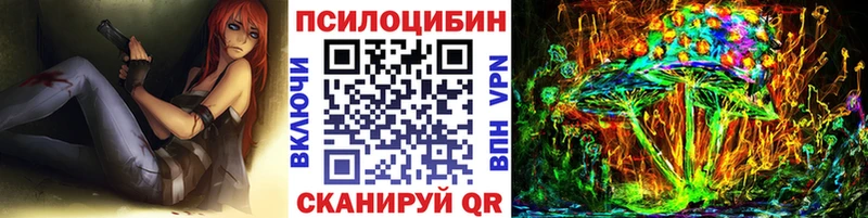 блэк спрут   где можно купить наркотик  Дубовка  Псилоцибиновые грибы Psilocybe 